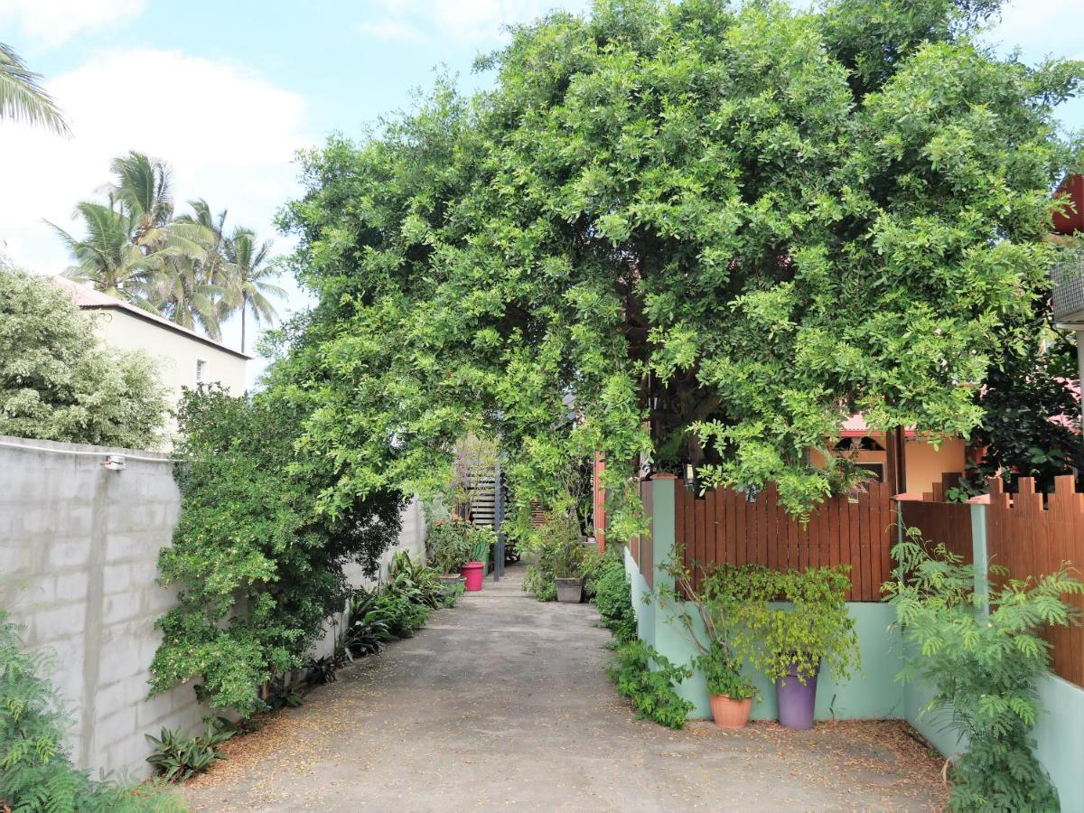 La Kazette - Votre Studio De Vacances A L Ile De La Reunion 생-루이 외부 사진