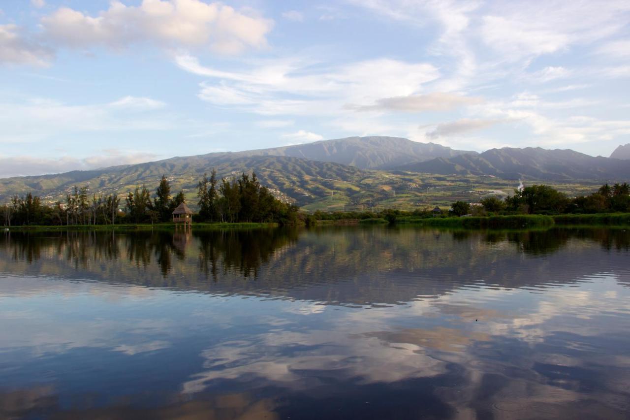 La Kazette - Votre Studio De Vacances A L Ile De La Reunion 생-루이 외부 사진